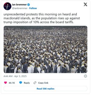 1743798485275.jpeg