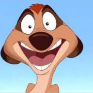 timon