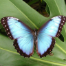 NatalieBA