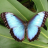 NatalieBA