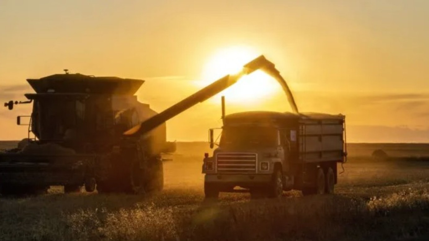 buenosairesherald.com