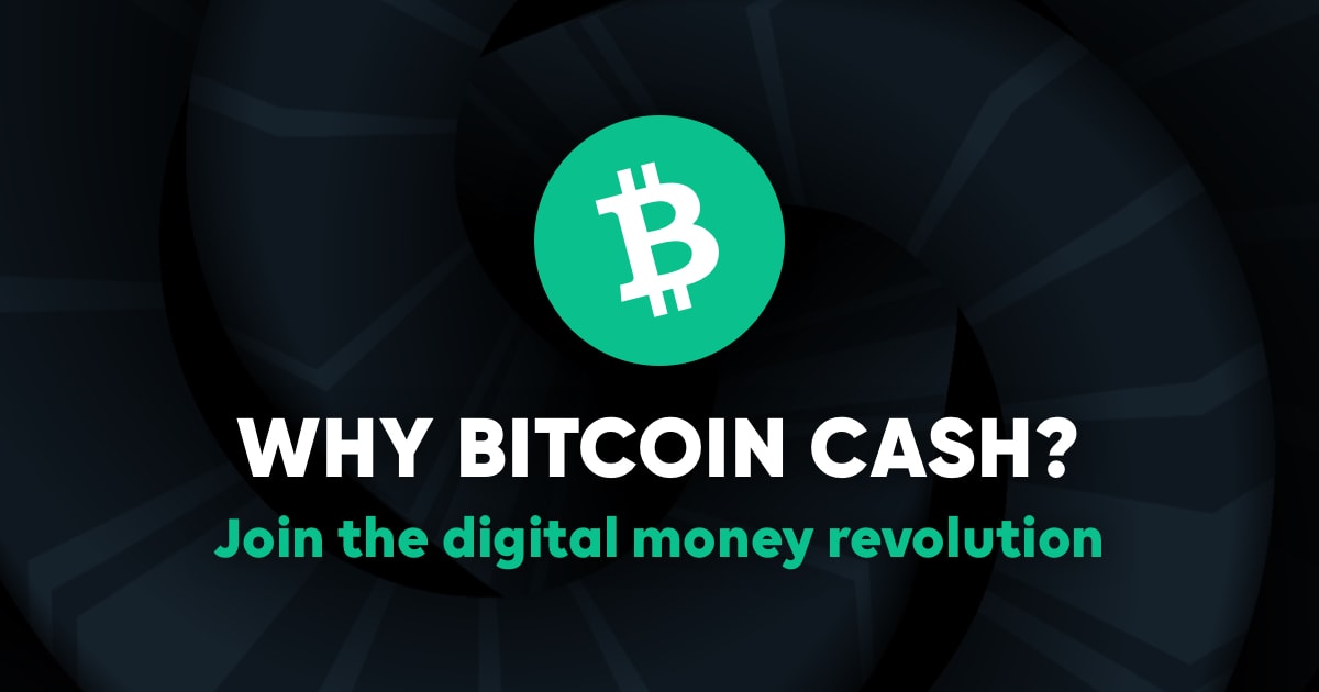 whybitcoincash.com