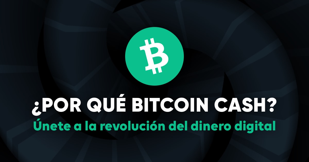 whybitcoincash.com